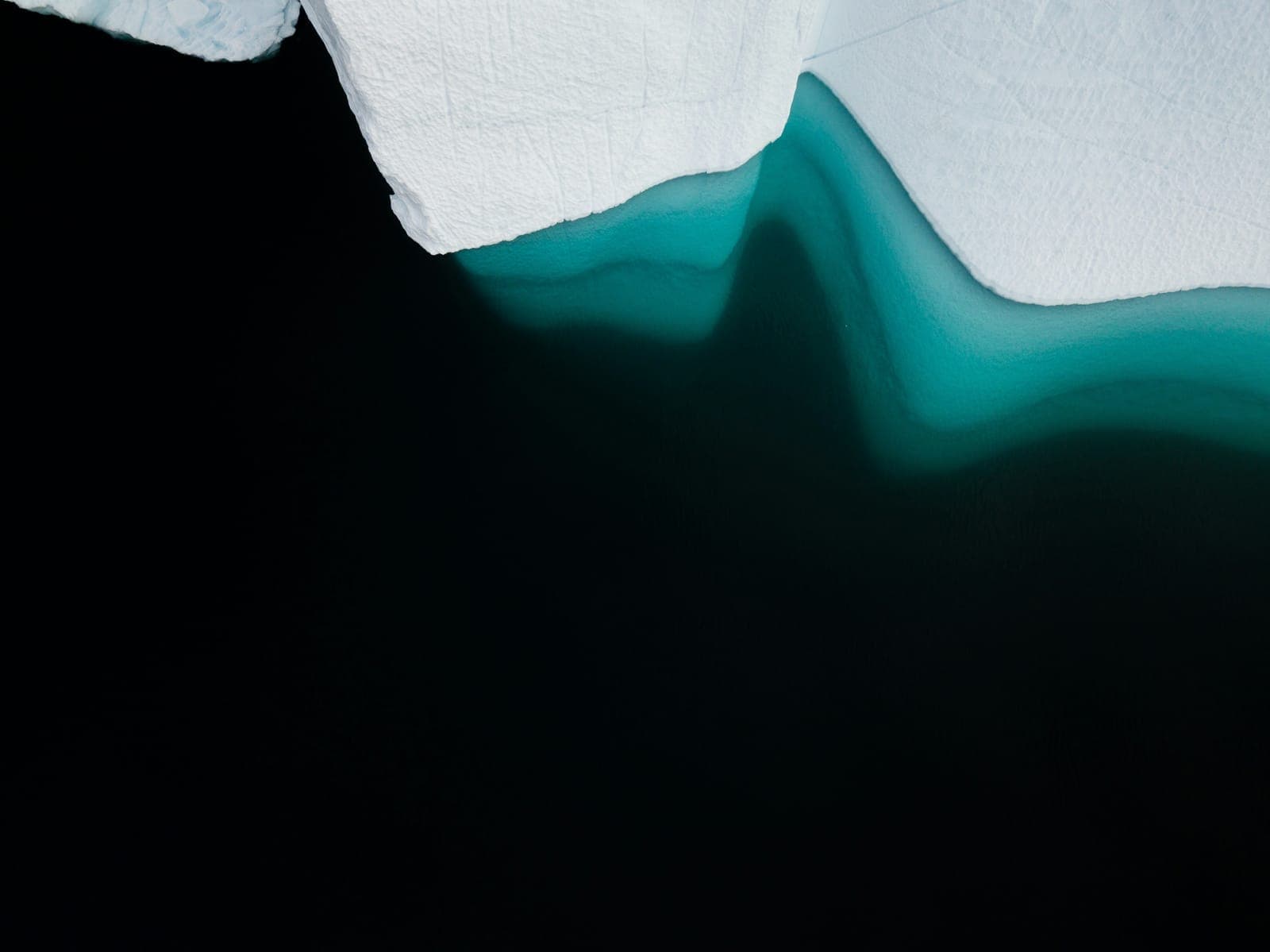SEO vs SEA: wat is het verschil en wat levert meer op? Een vergelijkingsgids