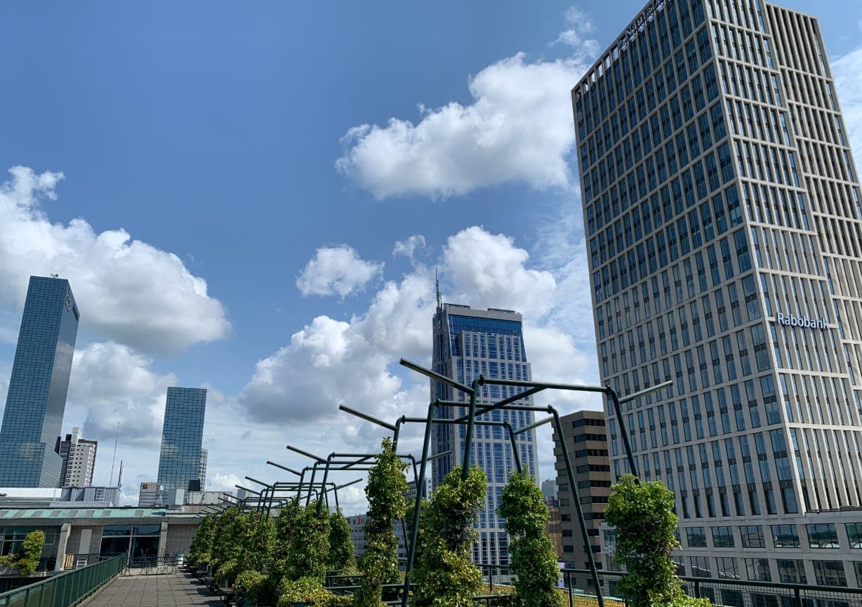 Webdevelopment Rotterdam: Technisch Vakmanschap & Strategisch Denken