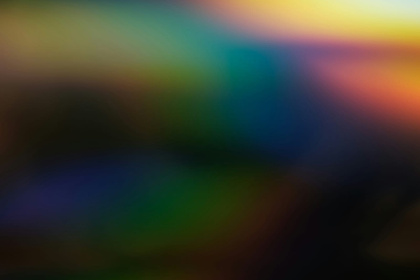 SEO en Webflow Specialist Rotterdam: Zo Versterk je de Online Positie van jouw MKB-Bedrijf
